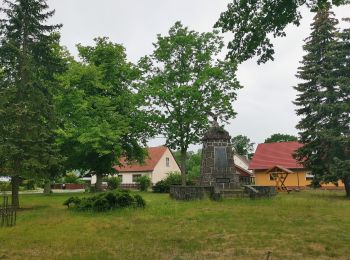 Tour Zu Fuß Unterspreewald - Wanderweg Neuendorf-Tschinka-Alt Schadow - Photo