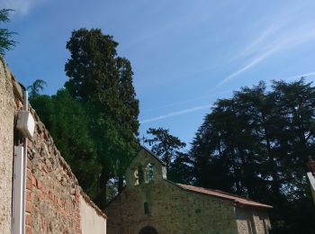 Tour Wandern Saint-Just-Saint-Rambert - bord de Loire avec chapelle de Bonson  - Photo