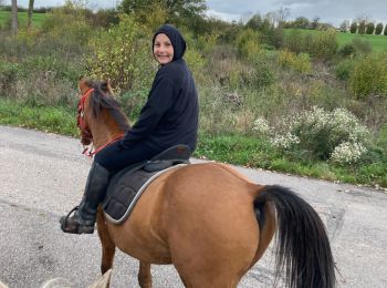 Trail Horseback riding Blâmont - Sortie Blamont avec Élodie  - Photo