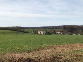 Tocht Paardrijden Fougerolles-Saint-Valbert - Circuit Château d’Eau 6kms  - Photo