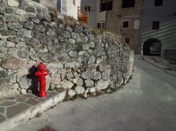 Percorso A piedi Stenico - Sentiero di San Vili - Photo
