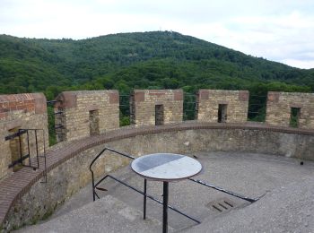 Tocht Te voet Alsbach-Hähnlein - Rundwanderweg Alsbach-Hähnlein Herzog-Ulrich-Ruhe 1: Haimonskinder-Weg - Photo