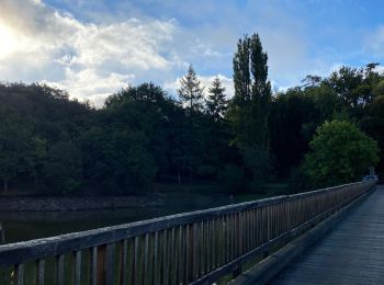 Tocht Stappen Poiroux - Lac de Finfarine - Photo