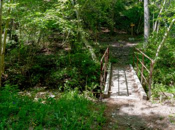 Trail Walking Le Castellard-Mélan - Sentier de découverte du Col de Fontbelle - Photo