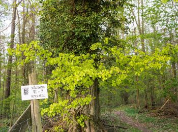 Tour Zu Fuß Schöntal - Rundweg 2 Neusaß - Photo