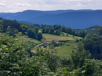 Randonnée Marche Thiéfosse - thiefosse haut du roc AR - Photo