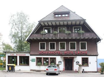 Tour Zu Fuß Forbach - Riedkopfrundweg - Photo