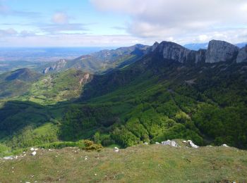 Excursión Senderismo Léoncel - Pierre Chauve  - Photo