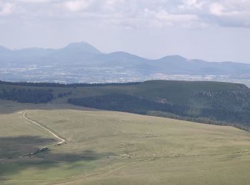 Trail Walking Saulzet-le-Froid - Puy de la Tâche  - Photo