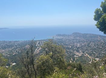 Randonnée Vélo électrique La Croix-Valmer - Rayol - Photo