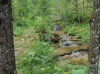 Excursión Senderismo Bellefontaine - Pichonnier-Peraillet- village par l'Évalude - Photo