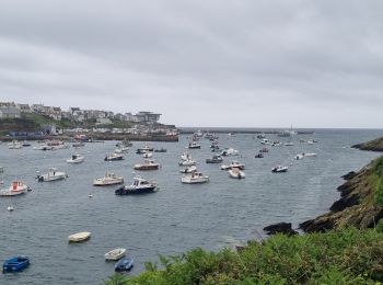 Trail Walking Le Conquet - Phare de Kermorvan - Photo