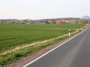 Randonnée A pied Breuna - Breuna, Rundweg 4 - Photo