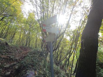 Trail On foot Roncola - Sentiero 861: Barzana - Palazzago - Monte Albenza (Sentiero del crinale) - Photo