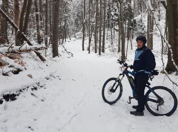 Trail Mountain bike Seyssins - Seyssins - Poussebou en vttae dans la neige - Photo