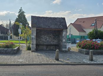 Excursión Senderismo Soisy-sur-École - Soisy-sur-Ecole  - Tertres - Photo