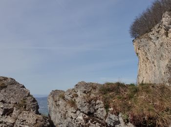 Excursión Senderismo Ayse - Les Gallinons - Crêtes du Rocher de l'aigle - Les Gallinons - Photo