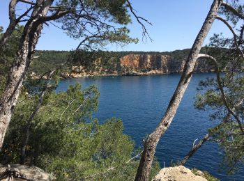 Trail sport Saint-Cyr-sur-Mer - Sentier du littoral et des vigne - Photo