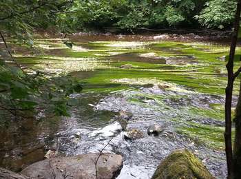 Randonnée Marche Libin - Lesse et Lomme (variante) jour 1/3 - Photo