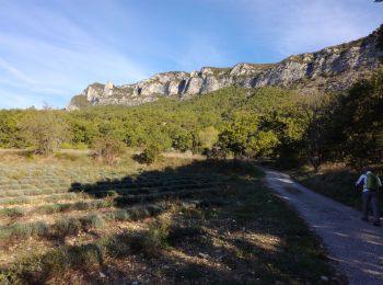 Trail Walking Saou - Rochecolombe - Photo