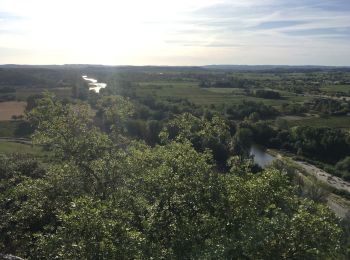 Trail Walking Anduze - Anduze ruines de Pouillan - Photo