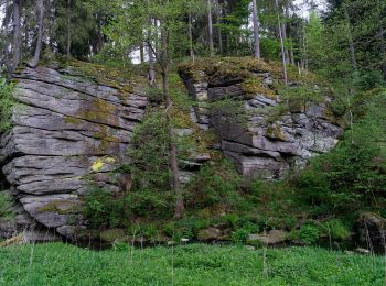 Tocht Te voet Hohenberg an der Eger - Wanderweg 5 Hohenberg a.d. Eger - Photo