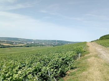 Percorso Mountainbike Château-Thierry - Sortie du 17/07/2022 - Photo