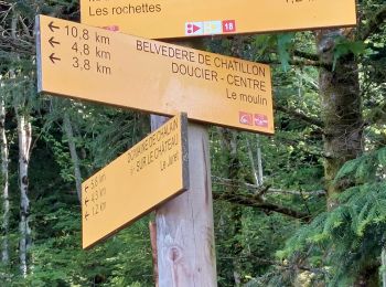 Tour Wandern Doucier - Balisage Lac de Chambly - Photo