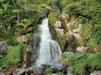 Tour Wandern Borce - Chemin de l'escalé - Photo