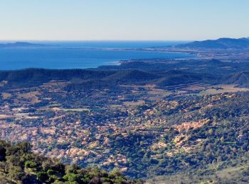 Trail Walking Bormes-les-Mimosas - Col du Gratteloup - Piste domaniale Sud - Cols de Labade et Landon - Pierre d'Avenon - GR51/90 - Photo