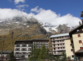 Percorso A piedi Torgnon - Gran Balconata del Cervino - Photo