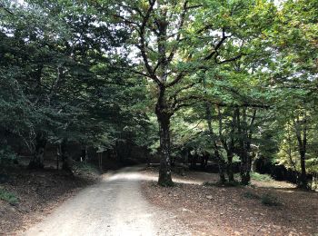 Tour Zu Fuß Capizzi - (SI V20) Portella dell'Obolo - Portella Femmina Morta - Photo