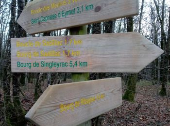 Trail Walking Sadillac - Sadillac 18,5 km - Photo