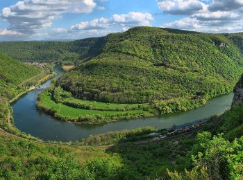 Tocht Te voet Deluz - Sentier du Château Loriot - Photo