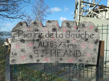 Randonnée Marche Saint-Héand - Saint-héand, la pierre de la bauche, les alisiers, le rivollier, les baraques, Saint-héand - Photo