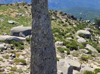 Trail Walking Moca-Croce - mont San petru - Photo