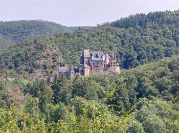 Tour Wandern Moselkern - Moselkern balade au château allée et retour  - Photo