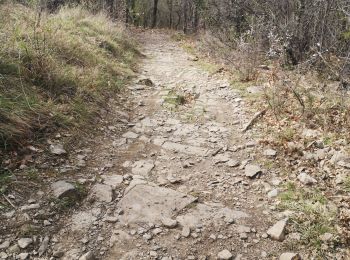 Trail Walking Saint-Martin-de-Valgalgues - Crématorium - Le Mas Dieu - Fontaine des Mamans - Carboussede - Crématorium - Photo