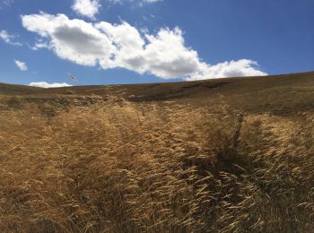 Tour Wandern Les Salces - Autour de maillebiau bonnecombes rajas - Photo