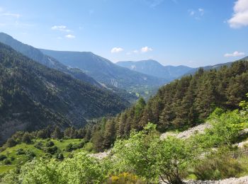 Tour Wandern Thorame-Basse - Boules chalufy 25-06-2023 - Photo