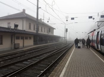 Tour Zu Fuß Straß in Steiermark - Rebenwanderweg Spielfeld - Photo