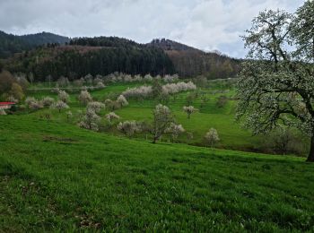 Tour Wandern Schliengen - Rando de Cerisiers et BLAUEN...20/04/2023 - Photo
