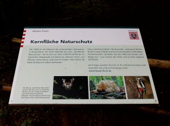 Tour Zu Fuß Steinau an der Straße - Steinau a. d. Straße, Wanderweg 3b - Photo