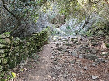 Excursión Senderismo Serra-di-Ferro - Serra di Ferro, plage de Cupabia A/R - Photo