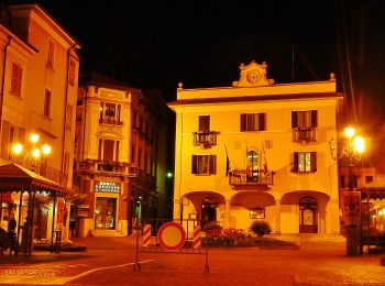 Tocht Te voet Stresa - IT-VM2 - Photo