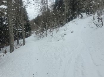 Tocht Ski randonnée Proveysieux - 140124 Mont Fromage - Photo