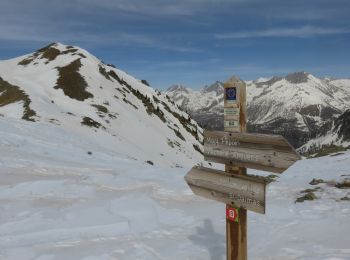 Tour Schneeschuhwandern Valdeblore - Col du Barn - Photo