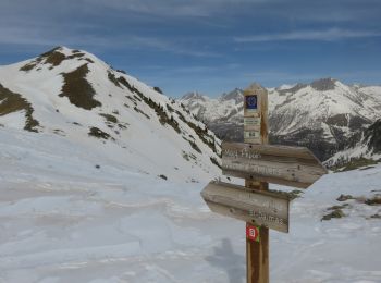 Excursión Raquetas de nieve Valdeblore - Col du Barn - Photo