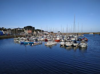 Trail Walking Groix - tour côtier a Groix parla plage des grands sables - Photo