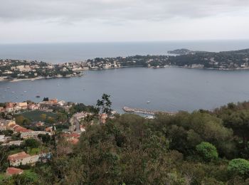 Excursión Senderismo Niza - Nice Mont Boron, Mont Alban, cap de Nice - Photo